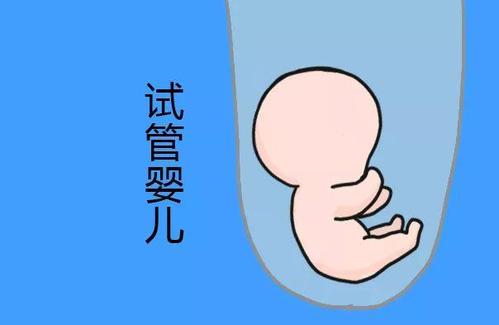 试管婴儿包生男孩公司